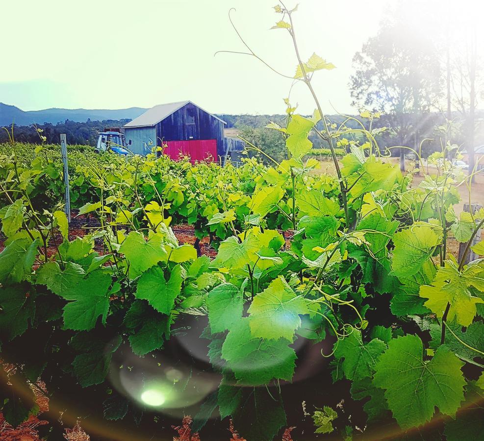 פוקולבין Red Door Collective - Rdc Vineyard Estate, Luxury Adult Only Stay מראה חיצוני תמונה
